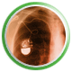 Medical Applications