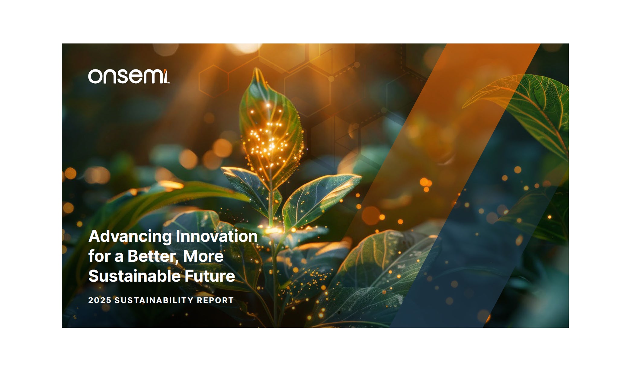 2025 Annual Sustainability Report Cover Picture