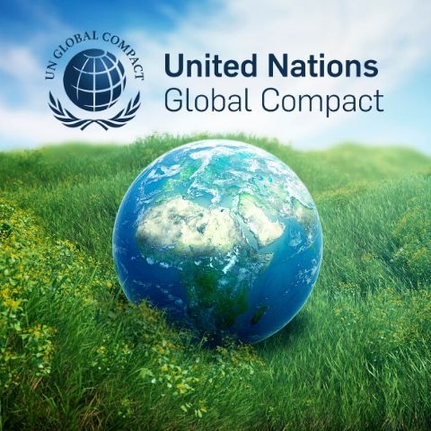 Previous Sustainability Reports onsemi